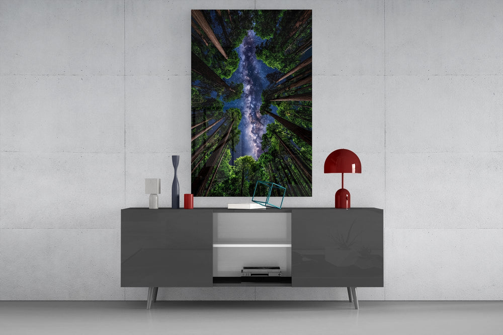 Redwood Canopy Milky Way Night Sky Glass Wall Art