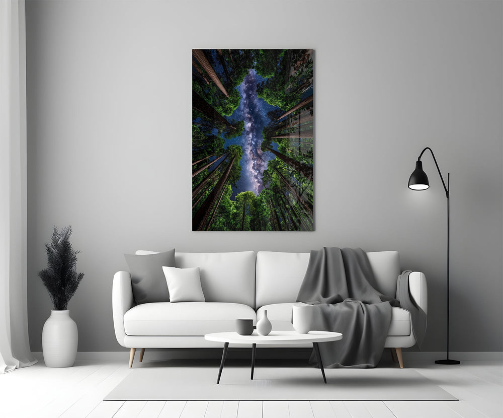 Redwood Canopy Milky Way Night Sky Glass Wall Art