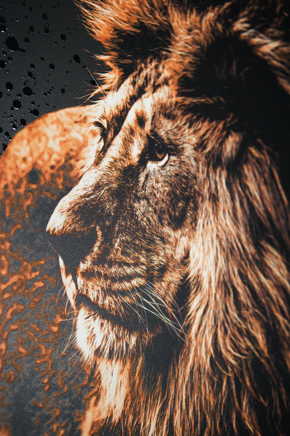 Lacquer Rain King – 3D Kabartmalı Parlak Lak Aslan Tablo