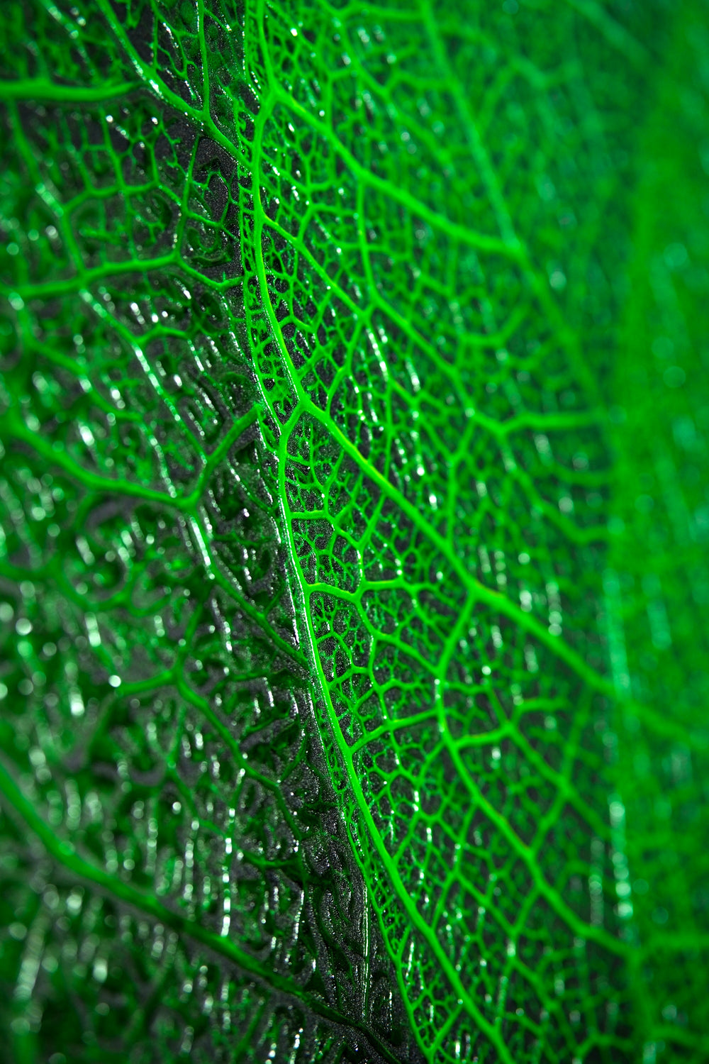 Verdant Lattice: Botanik Ağ — Hissedilebilir 3D Kabartma + Parlak Lake Baskı