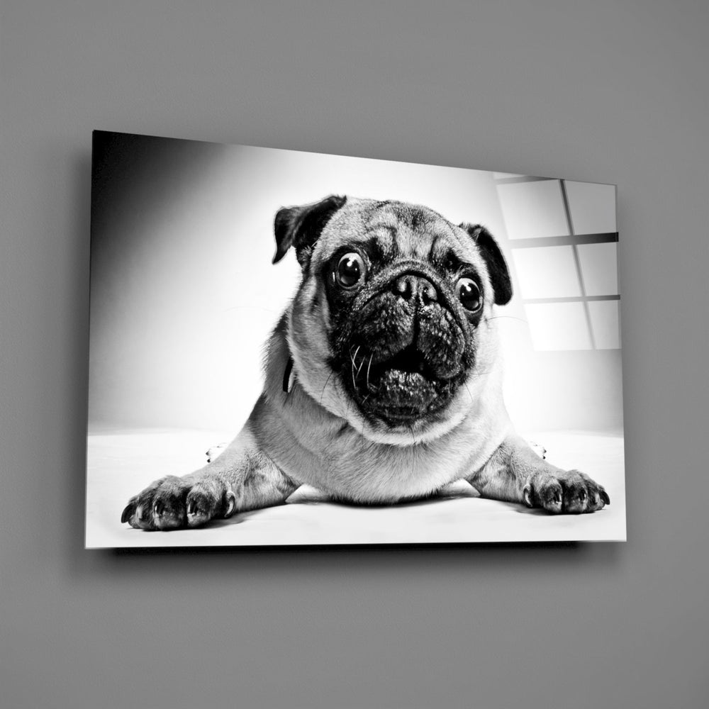 Pug Cam Tablo