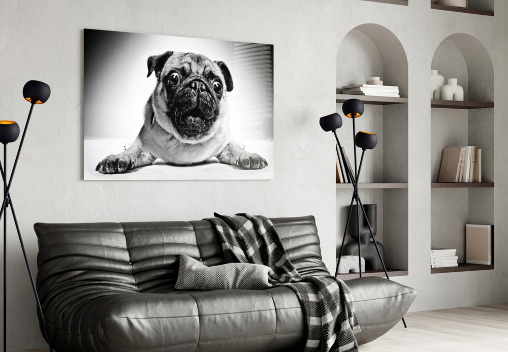 Pug Cam Tablo