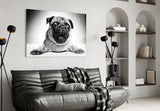 Pug Cam Tablo