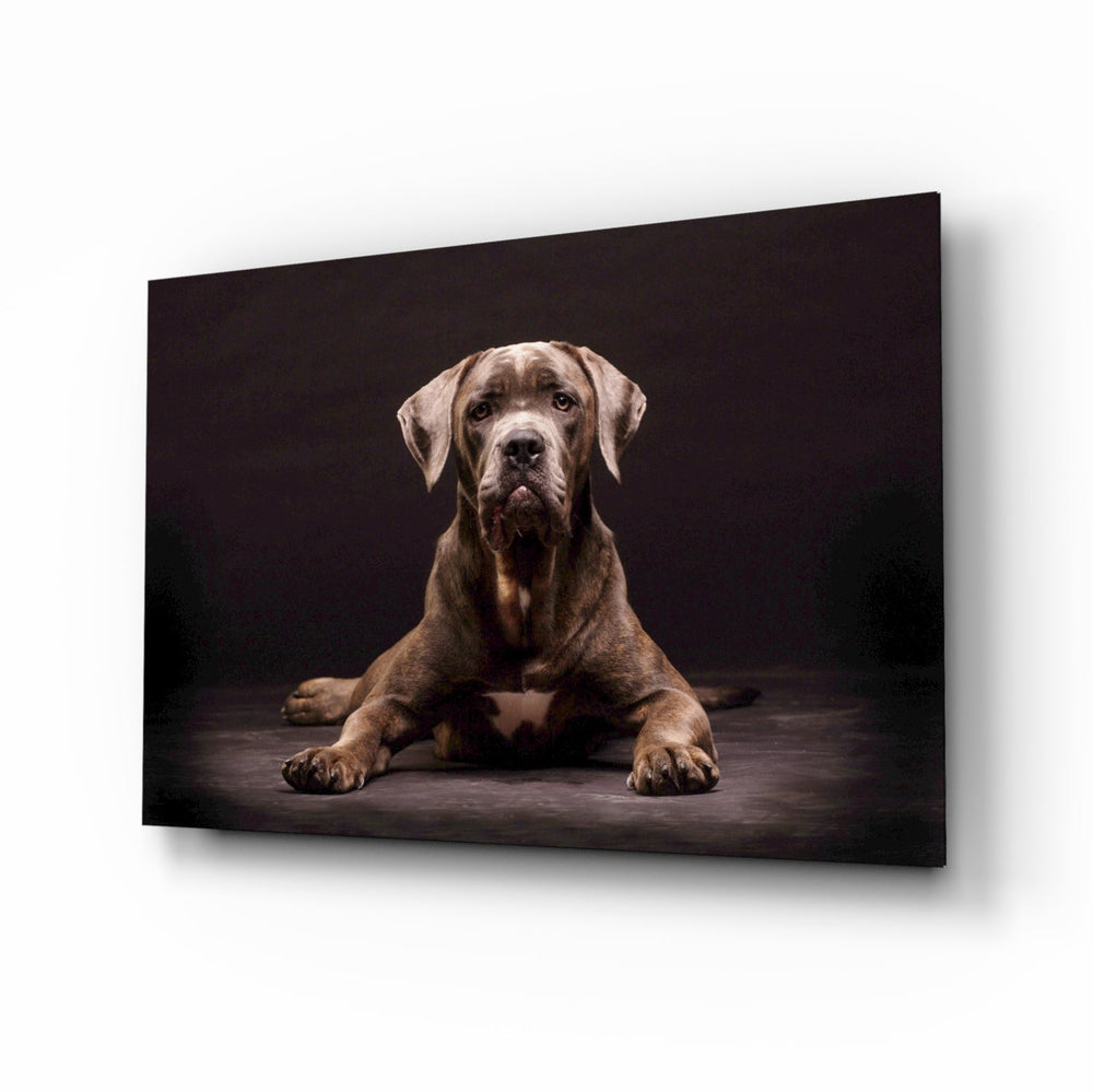 Köpek Cam Tablo