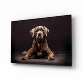 Köpek Cam Tablo