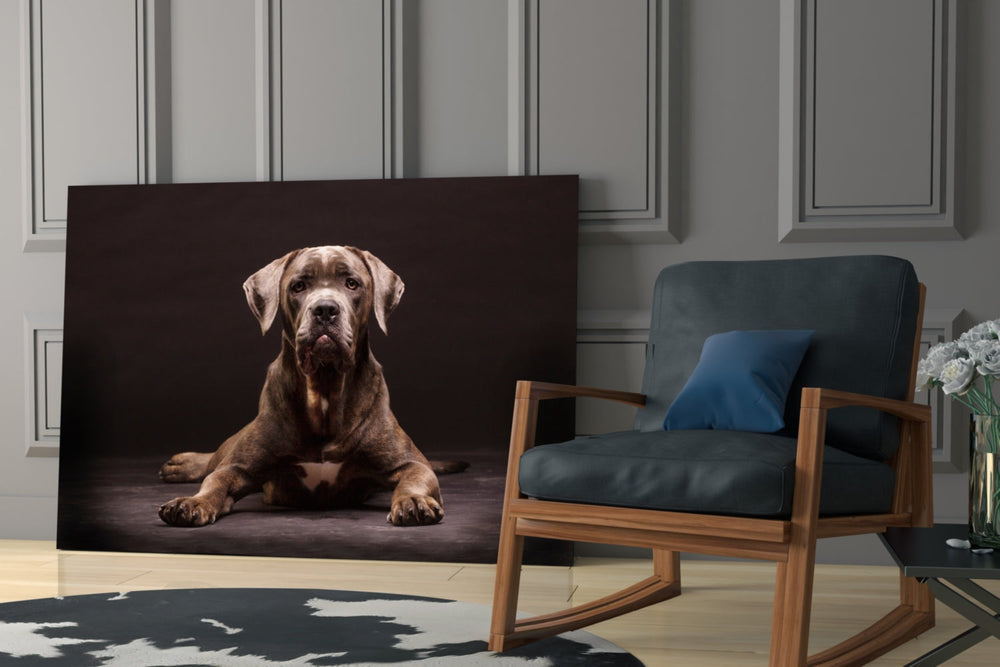 Köpek Cam Tablo