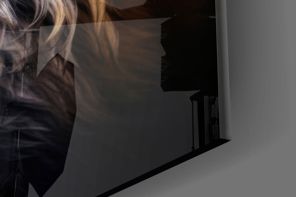 Eyes of the Fox Glass Wall Art || Designer Collection