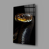 Golden-Eyed Black Snake Glass Wall Art || Designer Collection