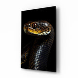 Golden-Eyed Black Snake Glass Wall Art || Designer Collection