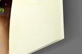 Half-leopard profile cinematic glass wall art in wellness studio