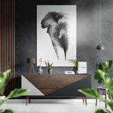 Fil Fırçalı Metalik Alu-Dibond.