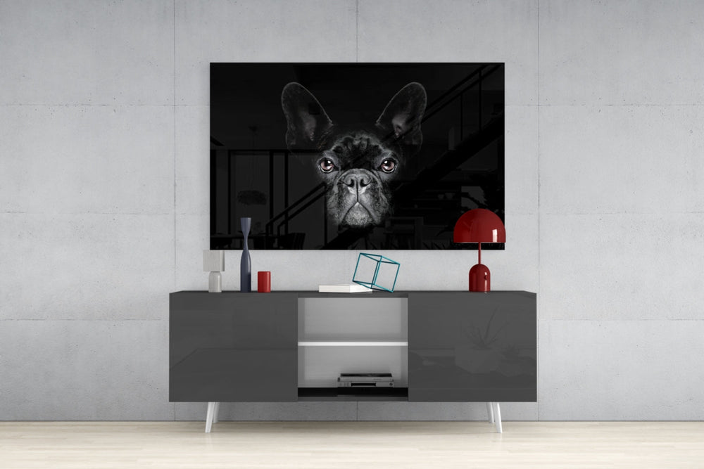 Köpek Cam Tablo