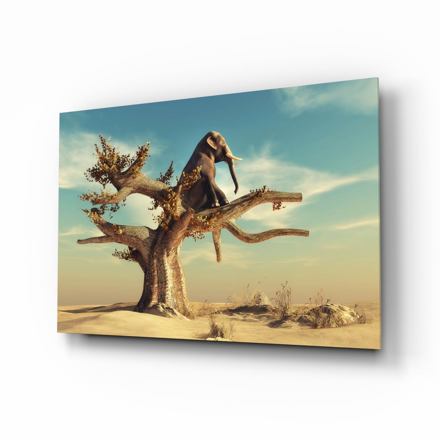 Düşünen Fil Cam Tablo