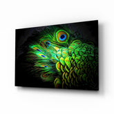 Tavuskuşu Cam Sanatı Cam Tablo