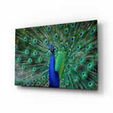 Tavuskuşu Cam Sanatı Cam Tablo