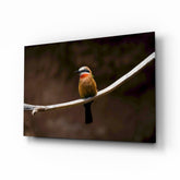 Arı Kuşu Cam Sanatı Cam Tablo