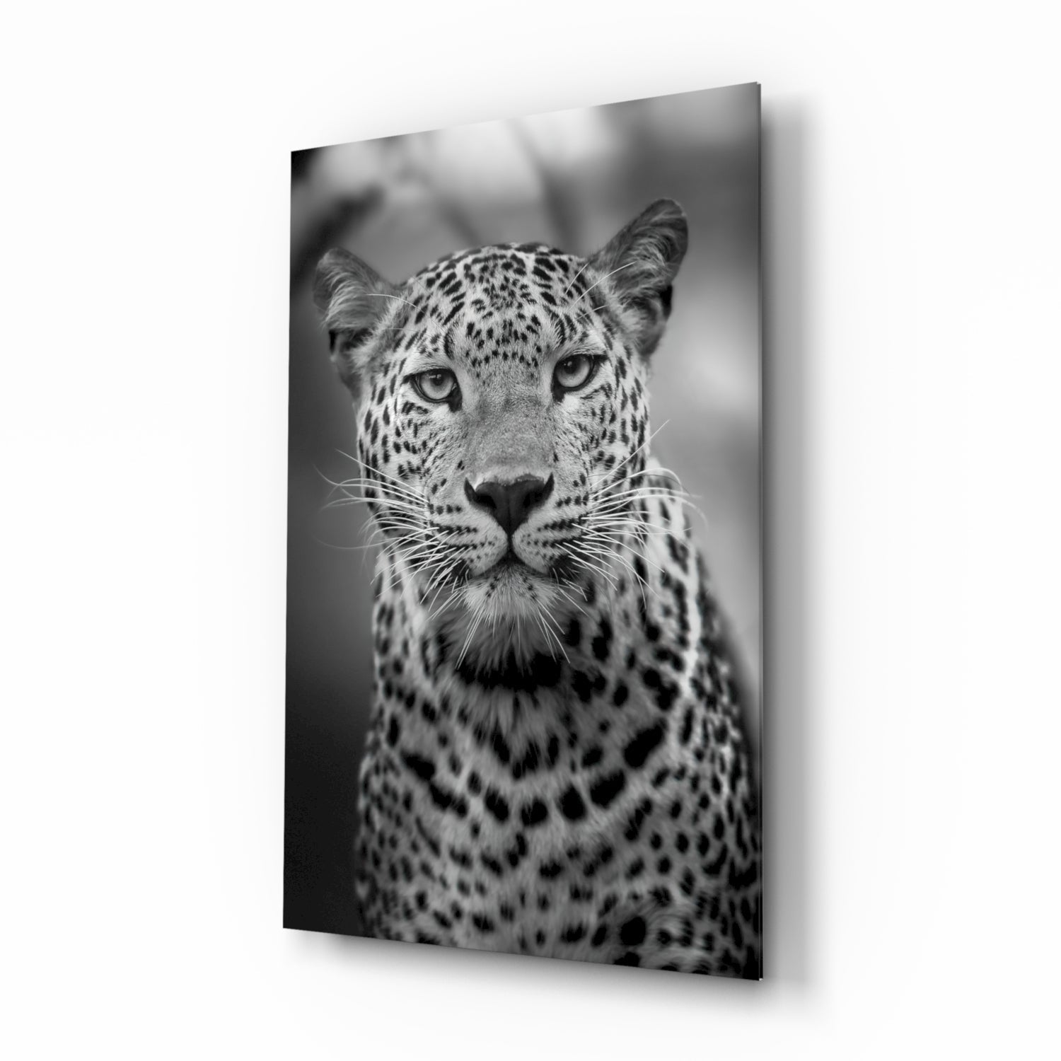 Leopar Cam Tablo
