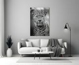 Leopar Cam Tablo