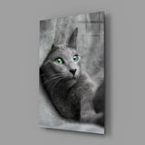 Kedi Cam Tablo