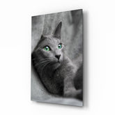 Kedi Cam Tablo