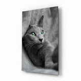 Kedi Cam Tablo