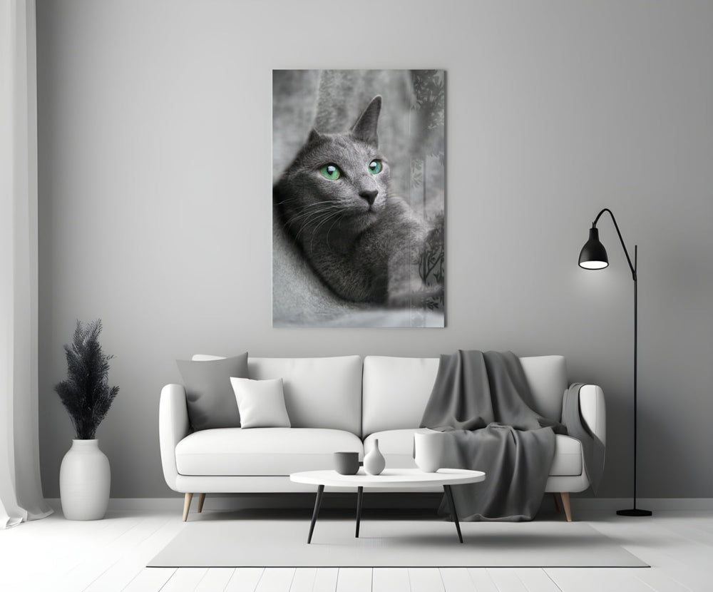 Kedi Cam Tablo
