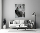 Kedi Cam Tablo