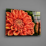 Turuncu Gerbera Cam Tablo