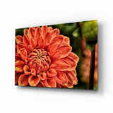 Turuncu Gerbera Cam Tablo