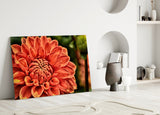 Turuncu Gerbera Cam Tablo
