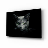 Kedi Cam Tablo