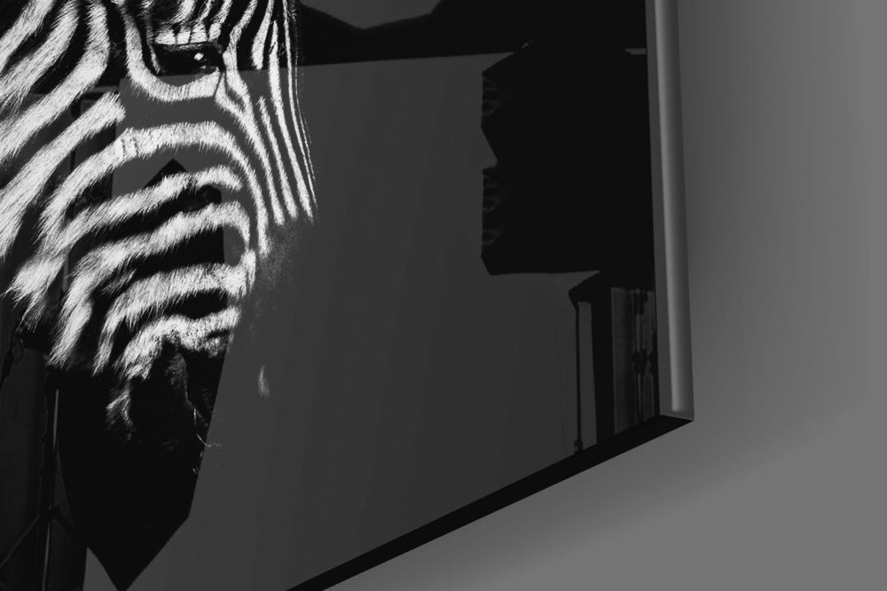 Zebra Cam Tablo