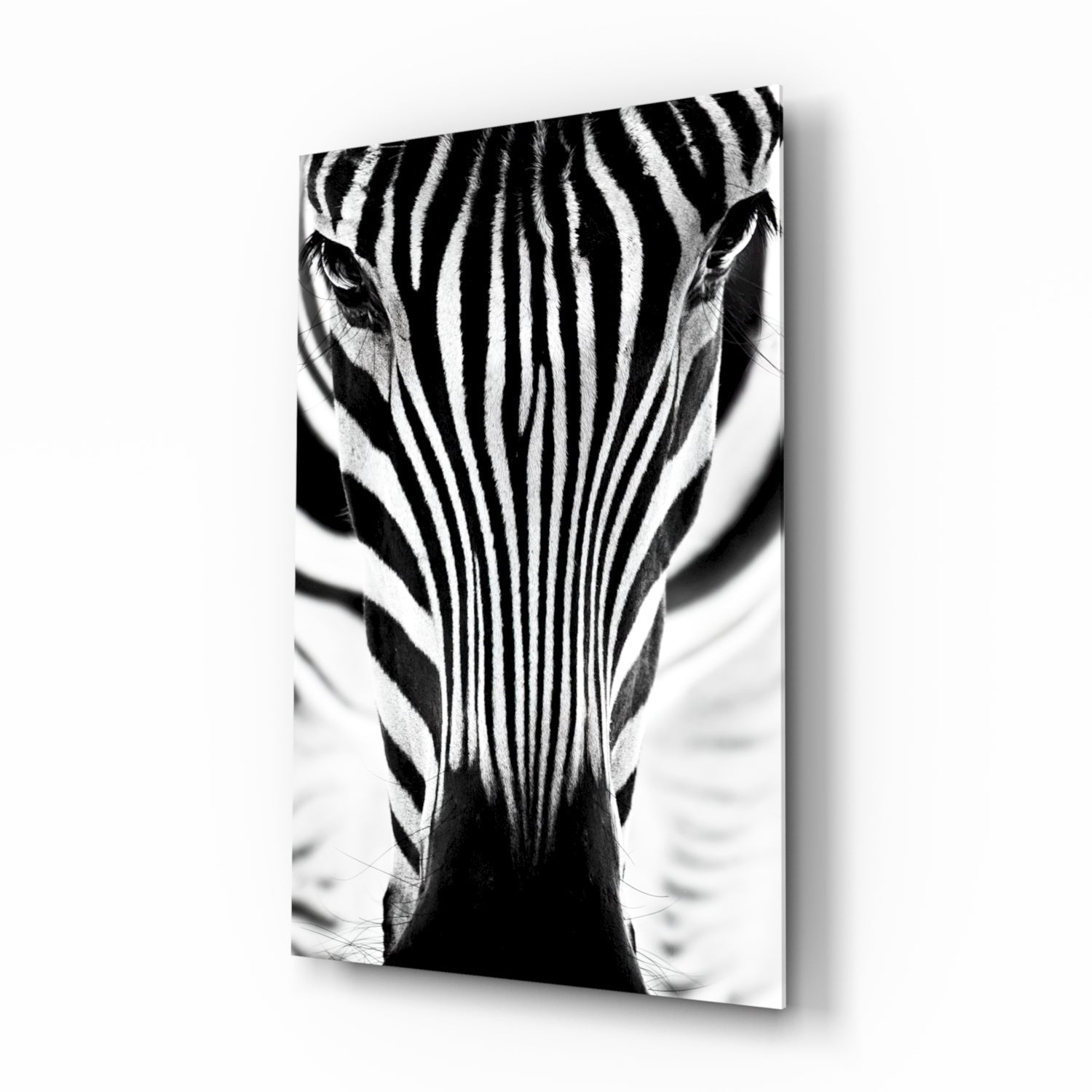 Zebra Cam Tablo