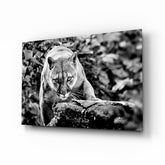 Puma Cam Tablo