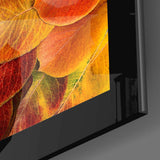 Sonbahar Yaprakları Cam Tablo.