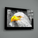 Kartal Cam Tablo.
