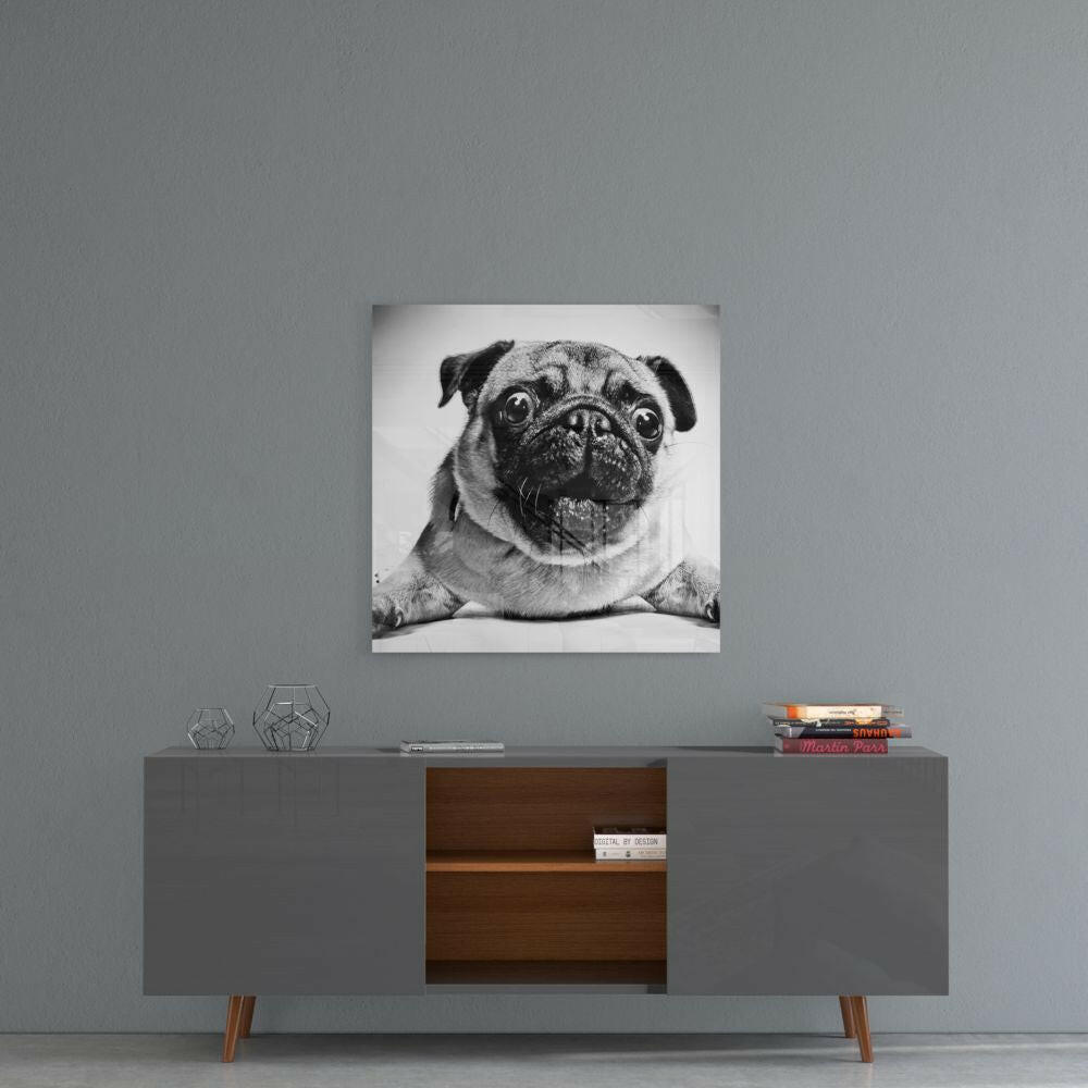 Pug Cam Tablo.
