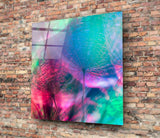 Karahindiba Cam Tablo.