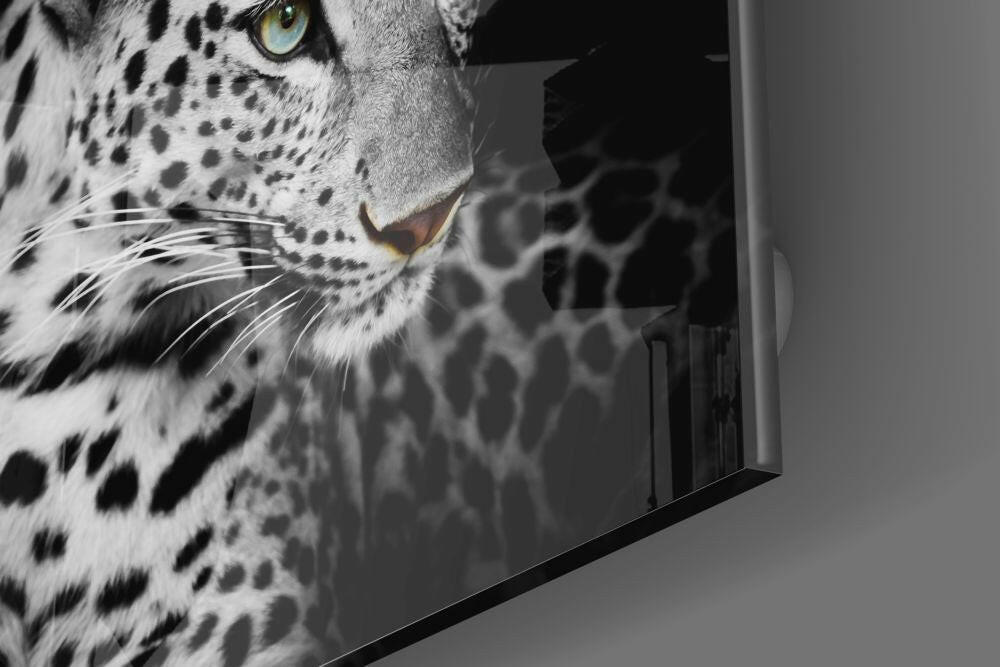 Leopar Cam Tablo.