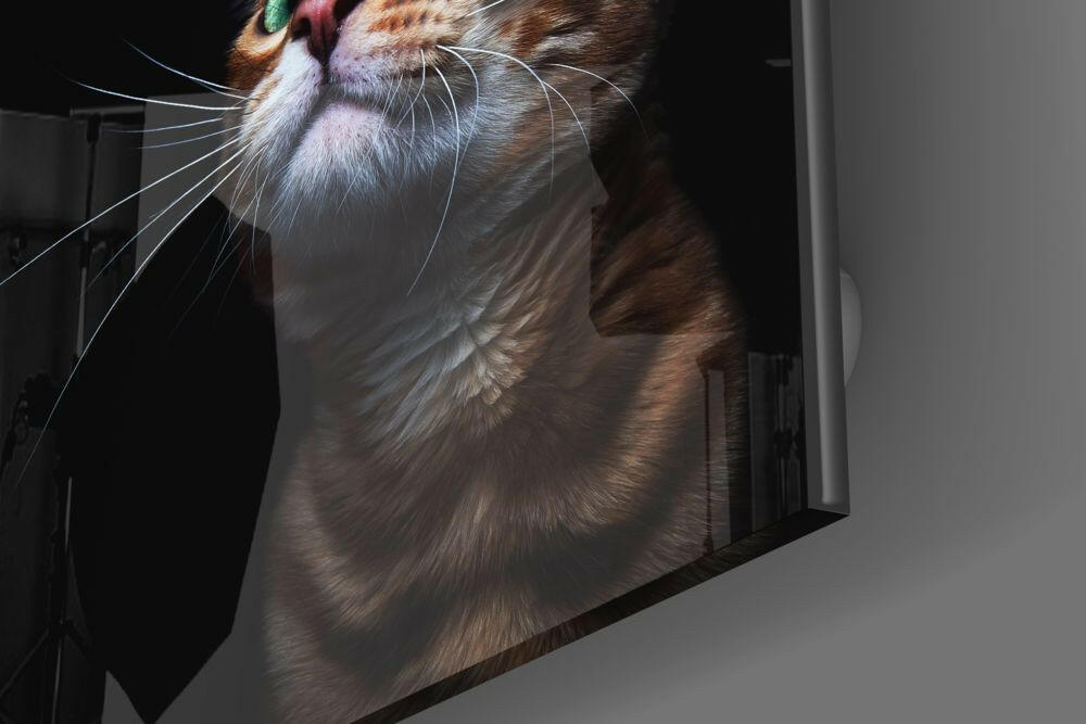 Yavru Kedi Cam Tablo.