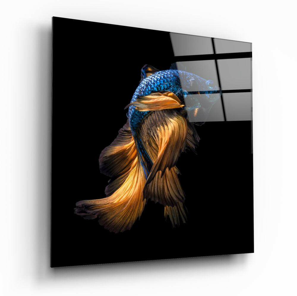 Betta Balık Cam Tablo.