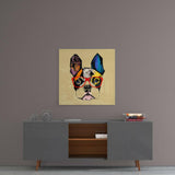 Bulldog Köpek Cam Tablo.