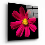 Kırmızı Çiçek Cam Tablo.