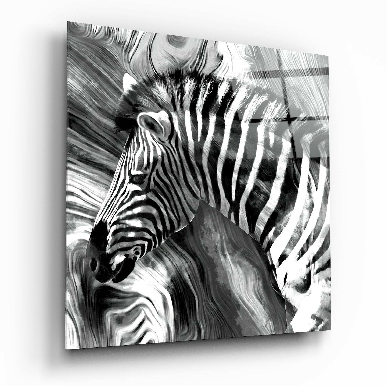 Zebra Cam Tablo.
