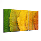 Sonbahar Yaprakları Mega Cam Tablo.