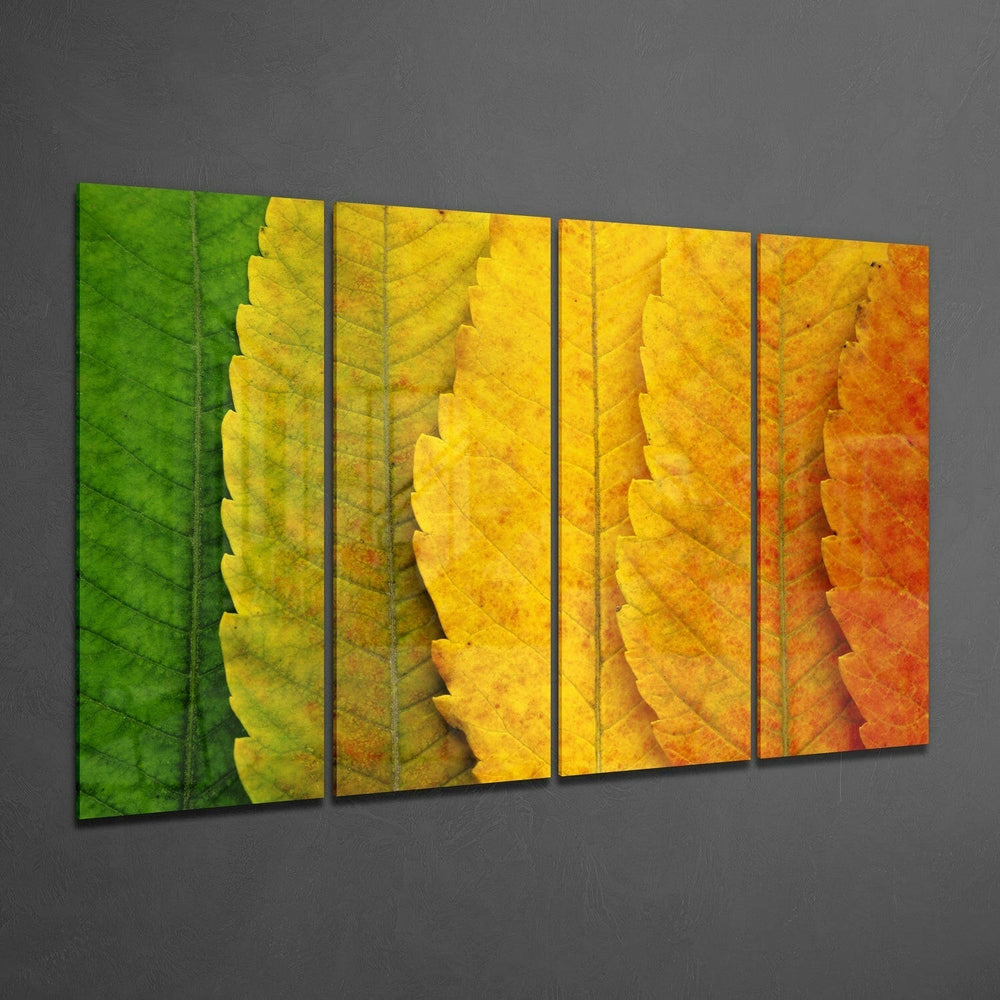 Sonbahar Yaprakları 4 Parça Mega Cam Tablo | 150x92 cm.