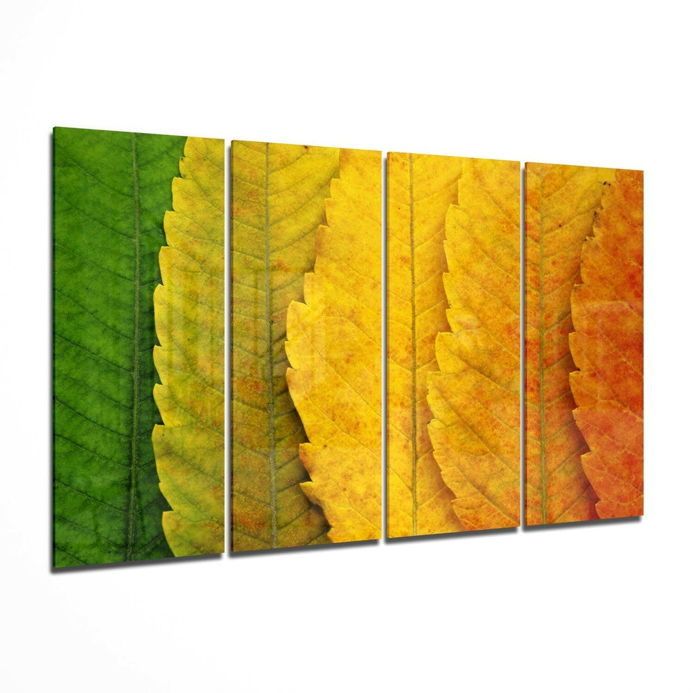 Sonbahar Yaprakları 4 Parça Mega Cam Tablo | 150x92 cm.