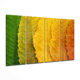 Sonbahar Yaprakları 4 Parça Mega Cam Tablo | 150x92 cm.