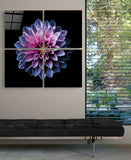 Mor Krizantem Quadro 4 Parçalı Cam Tablo.