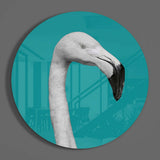 Flamingo Cam Tablo.
